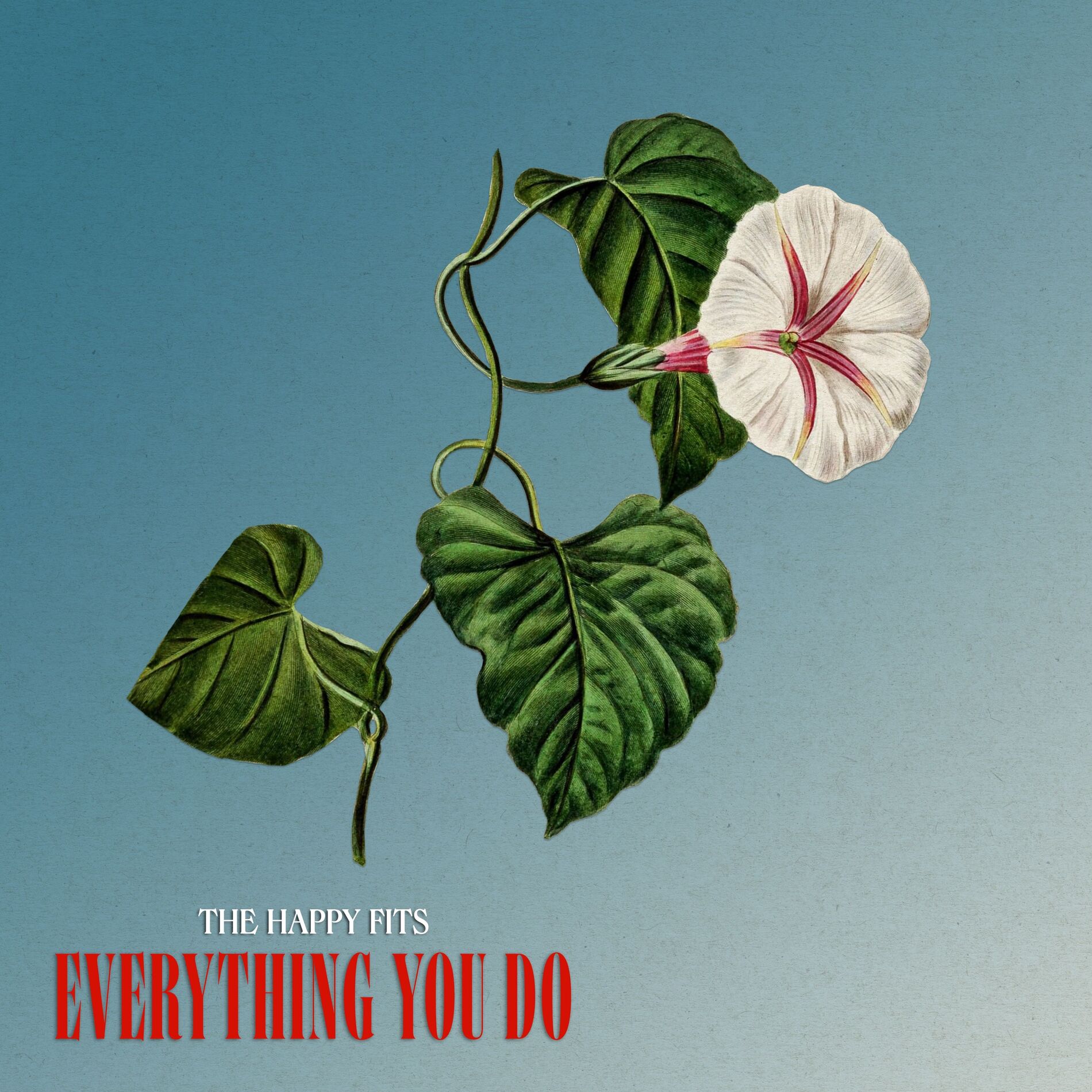 Album cover of Everything You Do