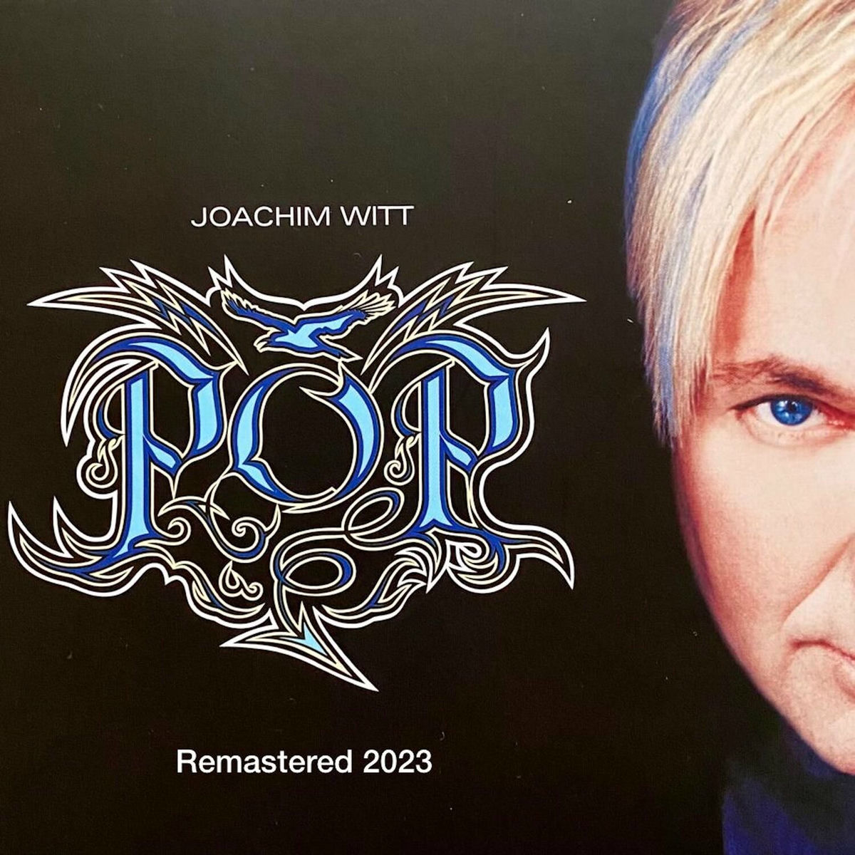 Album cover of Pop (Remastered 2023)