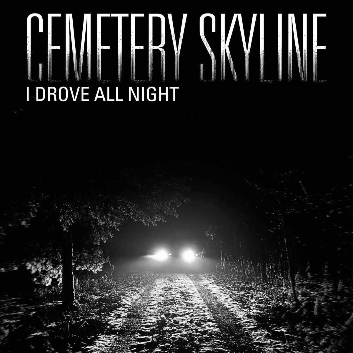 Album cover of I Drove All Night
