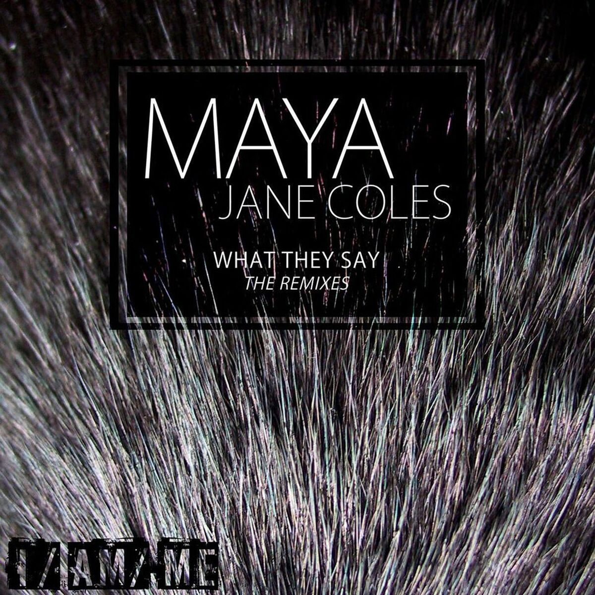 Album cover of What They Say