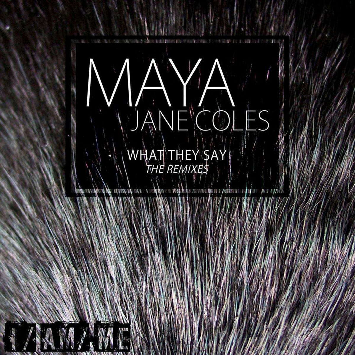 Album cover of What They Say (The Remixes)