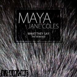Cover of What They Say (The Remixes)