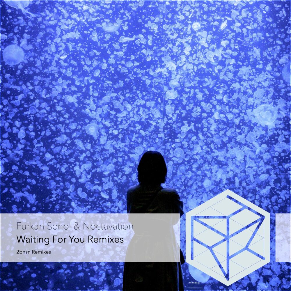 Picture of Waiting for You (2bnsn Progressive Remix)