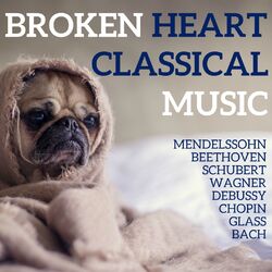 Cover of Broken Heart Classical Music
