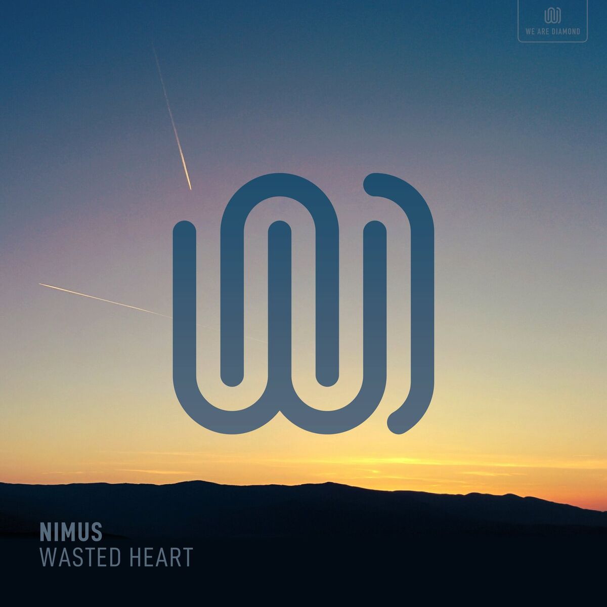Album cover of Wasted Heart