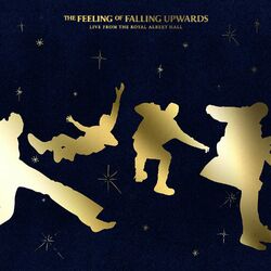 Cover of The Feeling of Falling Upwards (Live from The Royal Albert Hall)