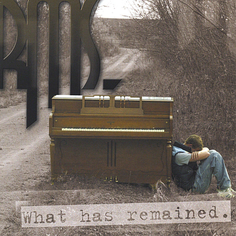 Picture of What Has Remained