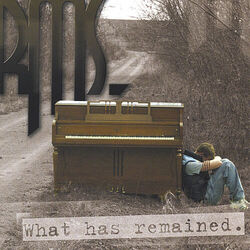 Cover of What Has Remained