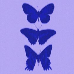 Cover of FANBASE