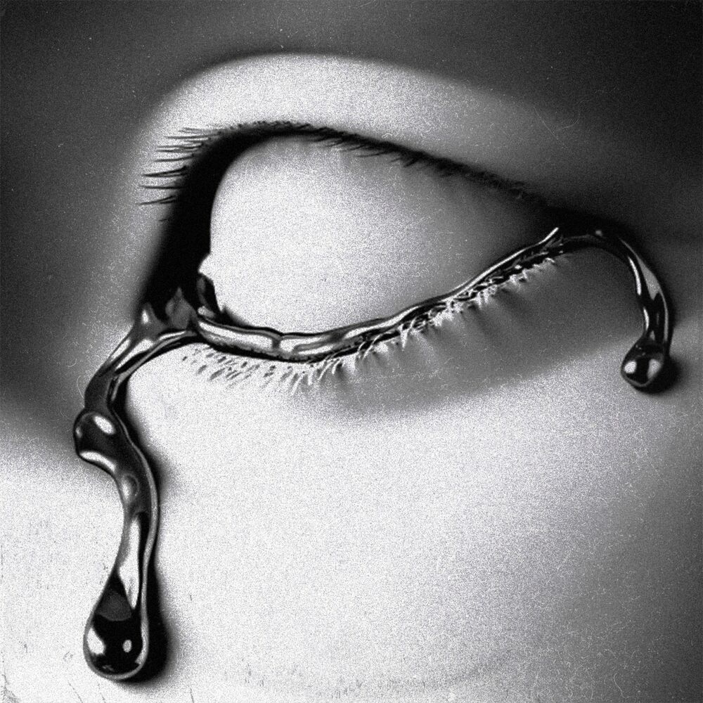 Picture of Sin Mirar Atras