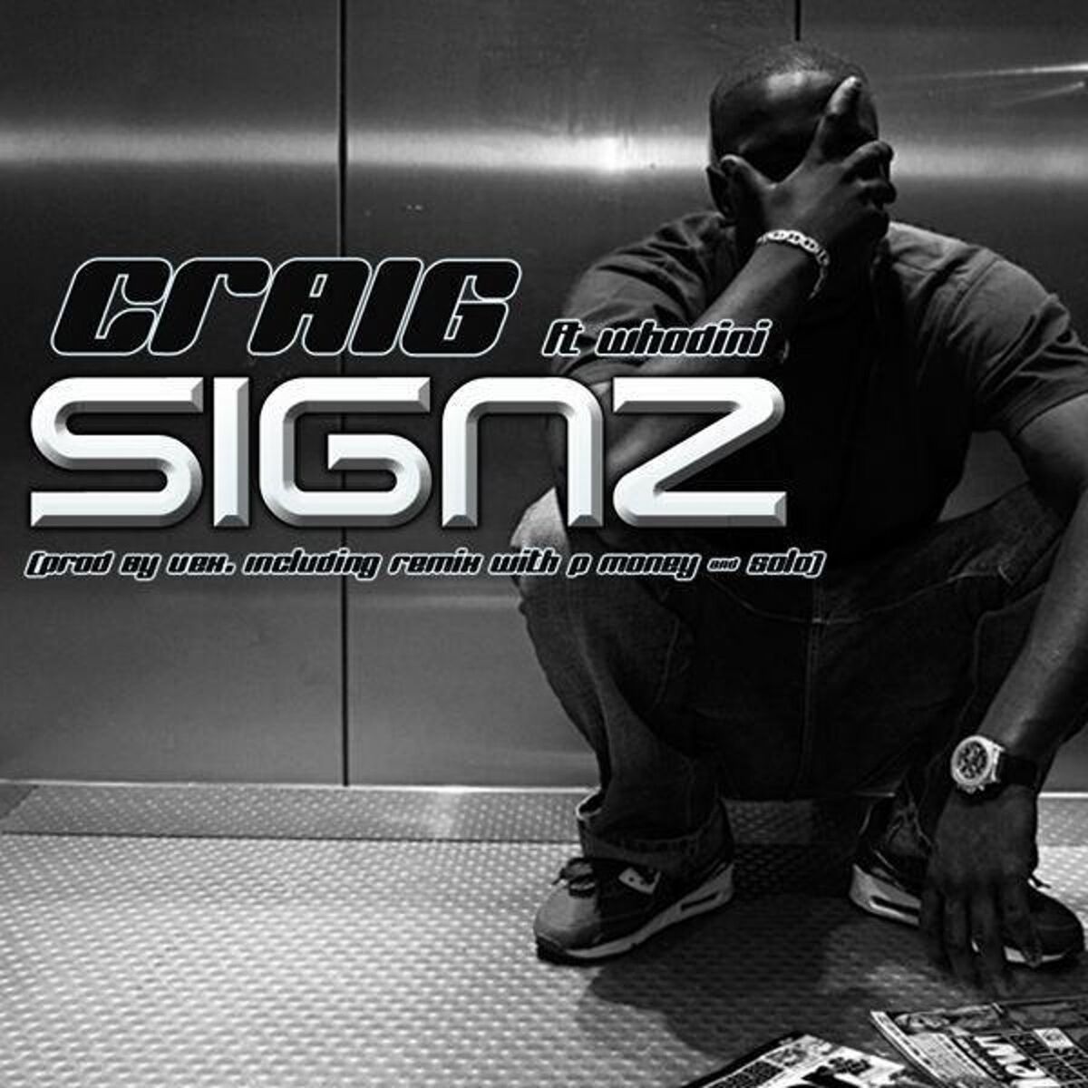 Album cover of Signz