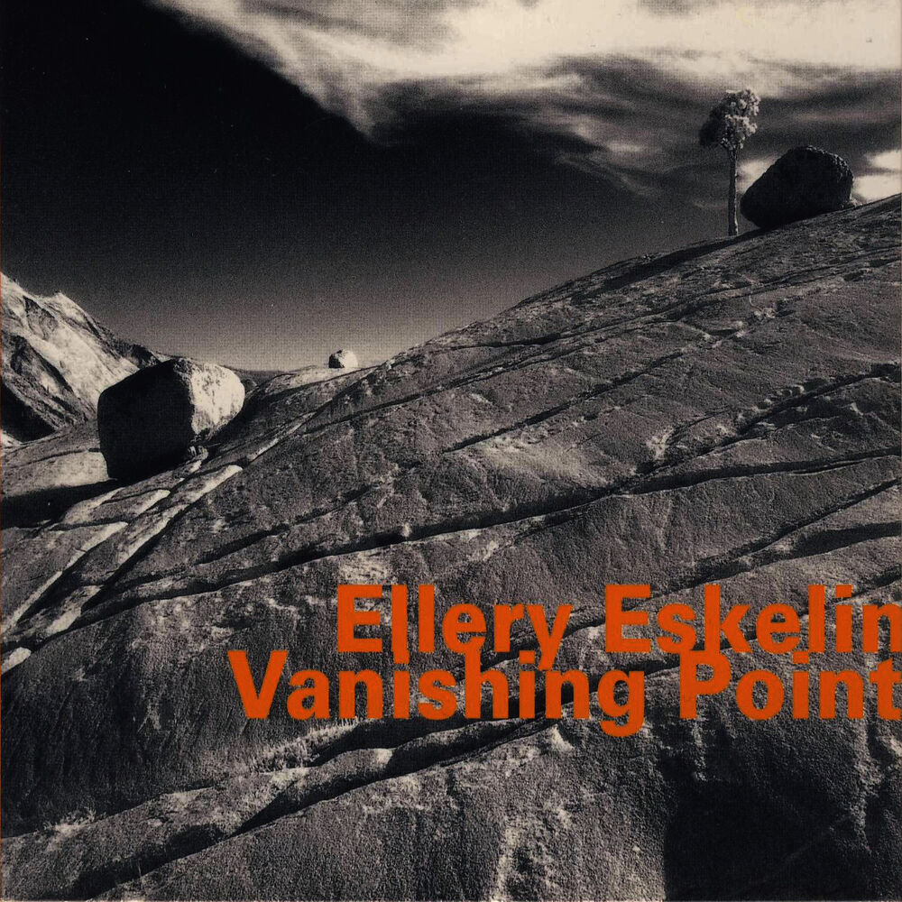 Picture of Vanishing Point