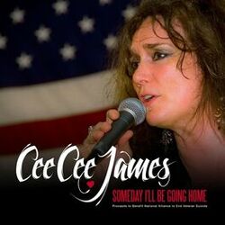 Cover of Someday I'll Be Going Home