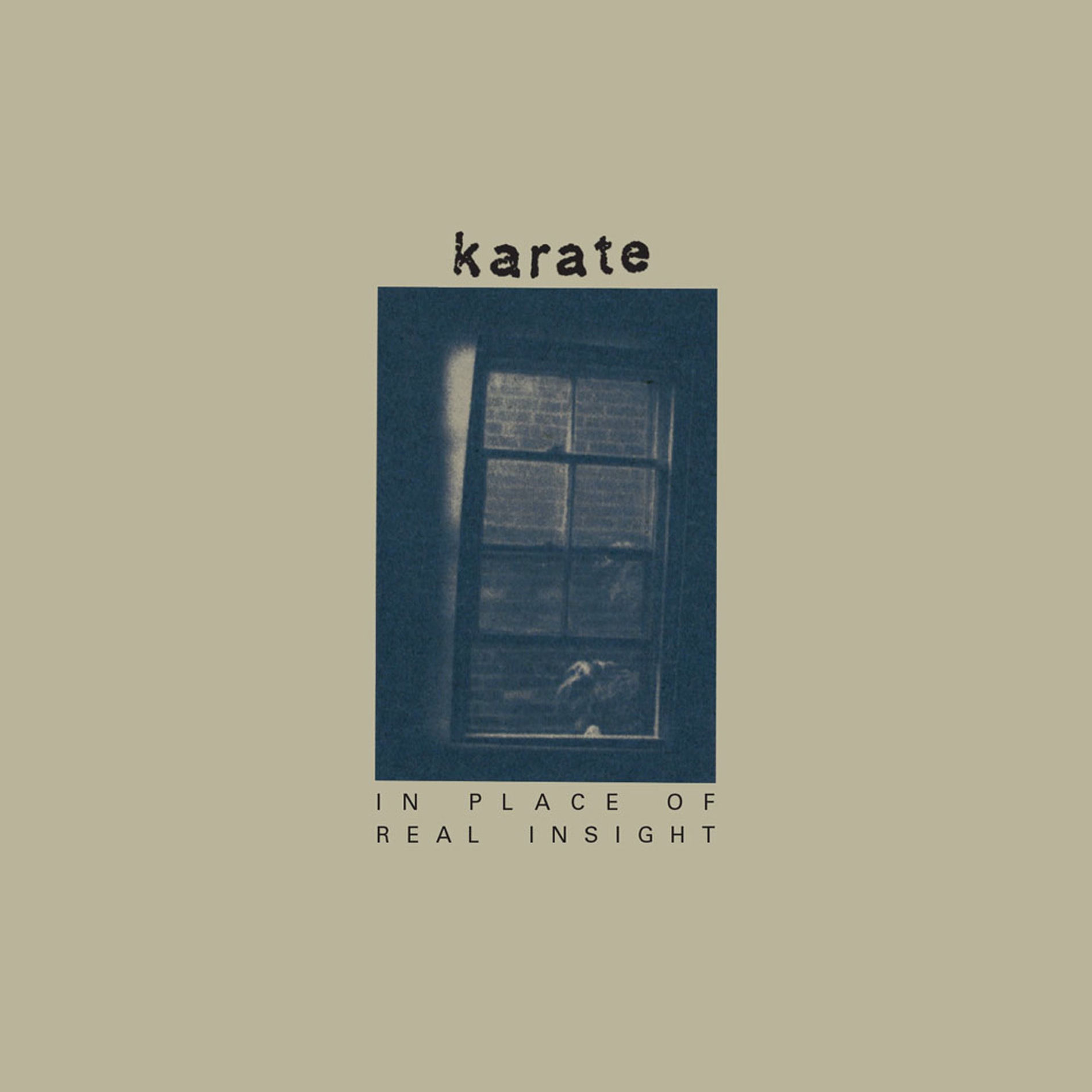 Album cover of In Place Of Real Insight