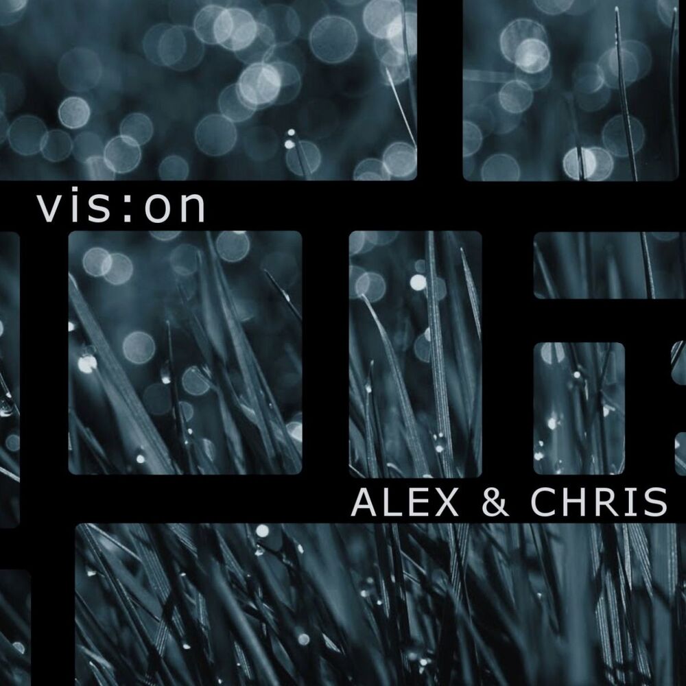 Picture of Vision