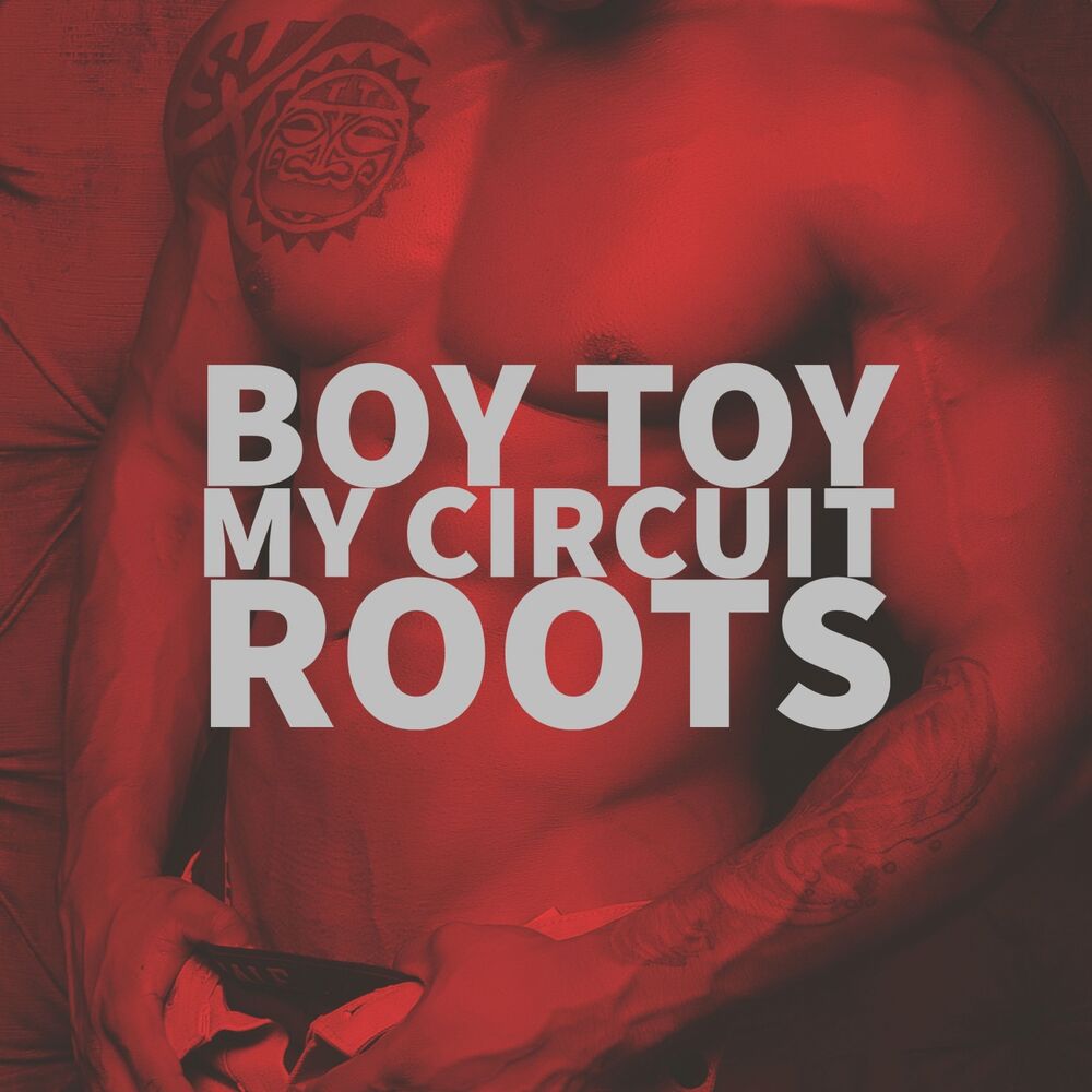 Picture of My Circuit Roots