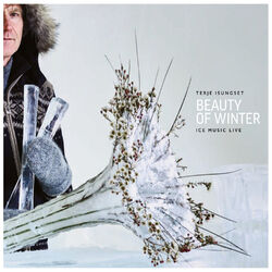 Cover of Beauty of Winter - Ice Music Live