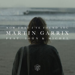 Cover of Now That I've Found You