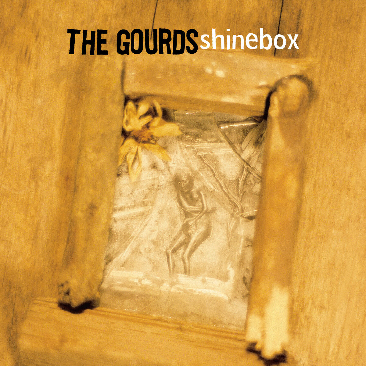 Album cover of Shinebox
