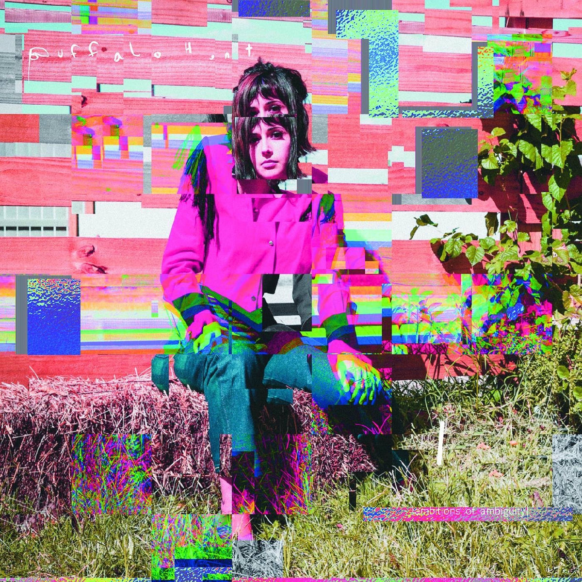 Album cover of Ambitions of Ambiguity