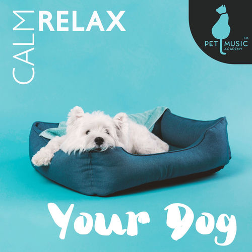 Calm Relax Your Dog: Sleep Music For Puppies Lullaby - Pet Music ...