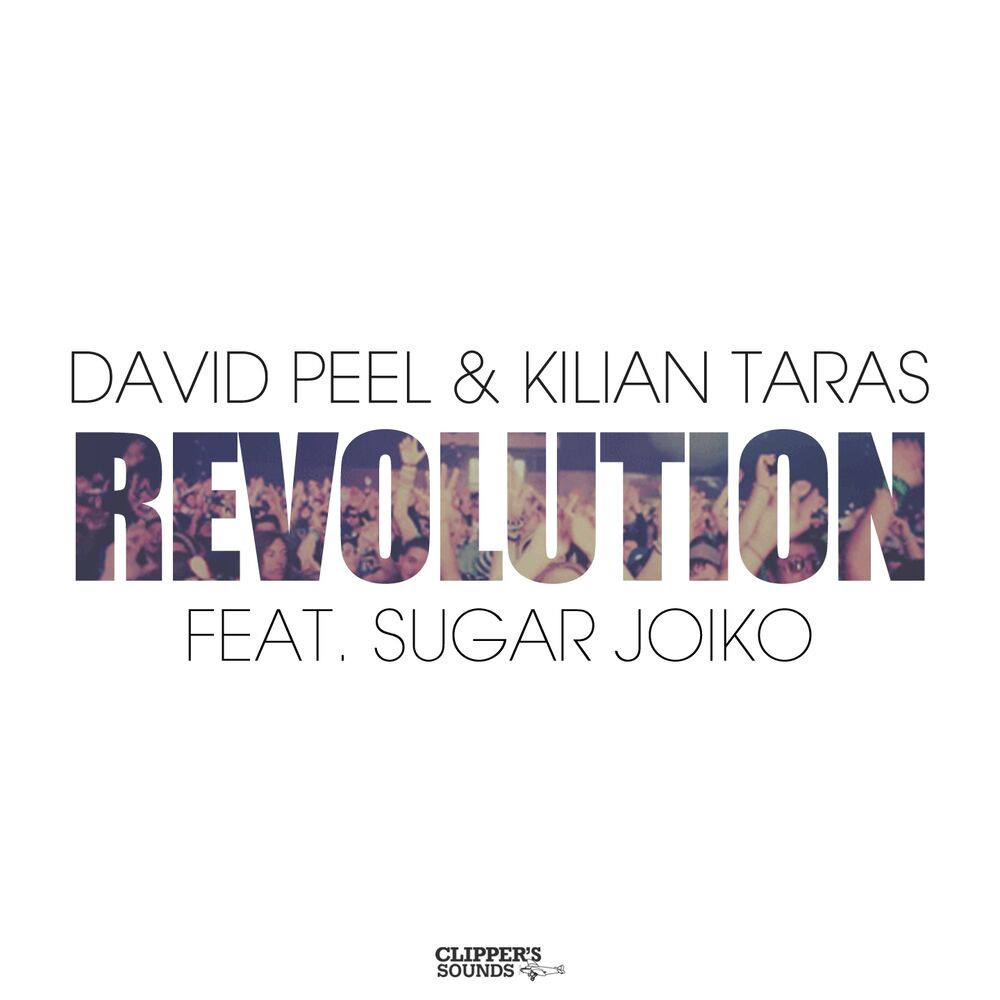 Picture of Revolution