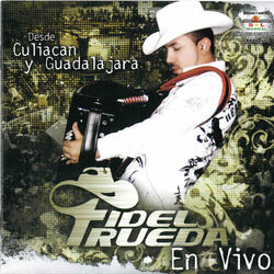Cover of Desde Culiacan y Guadalajara