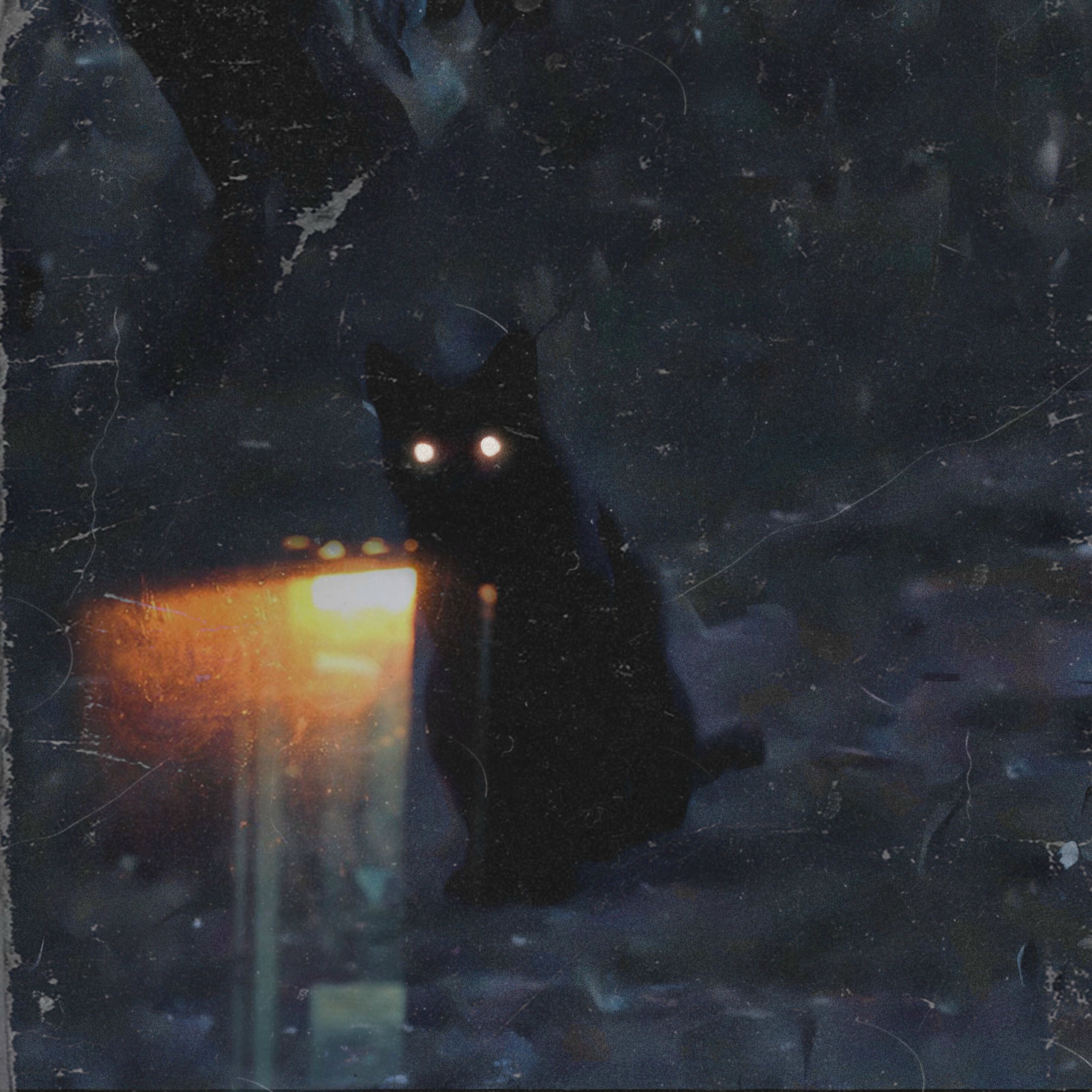 Album cover of signs (slow)