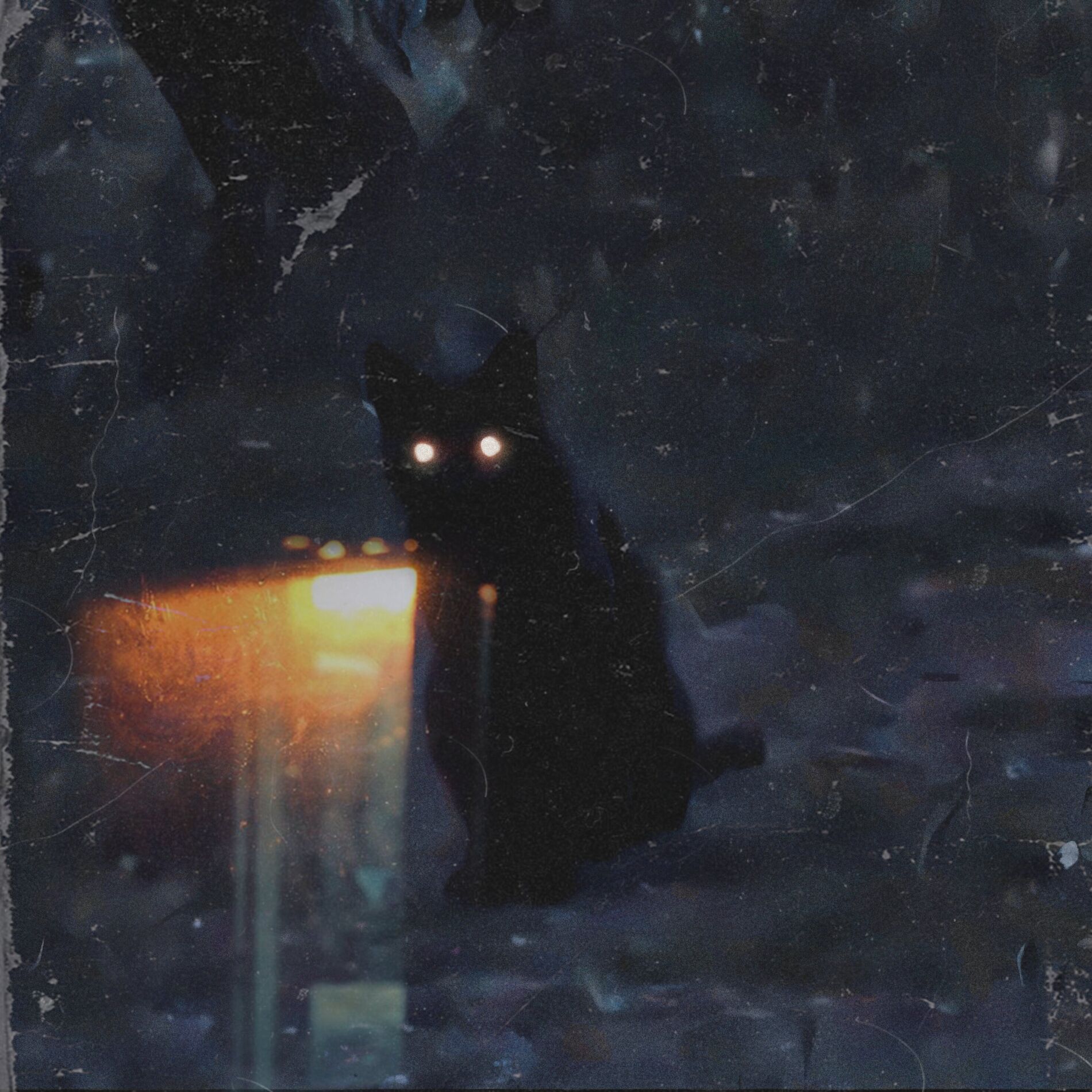 Album cover of signs