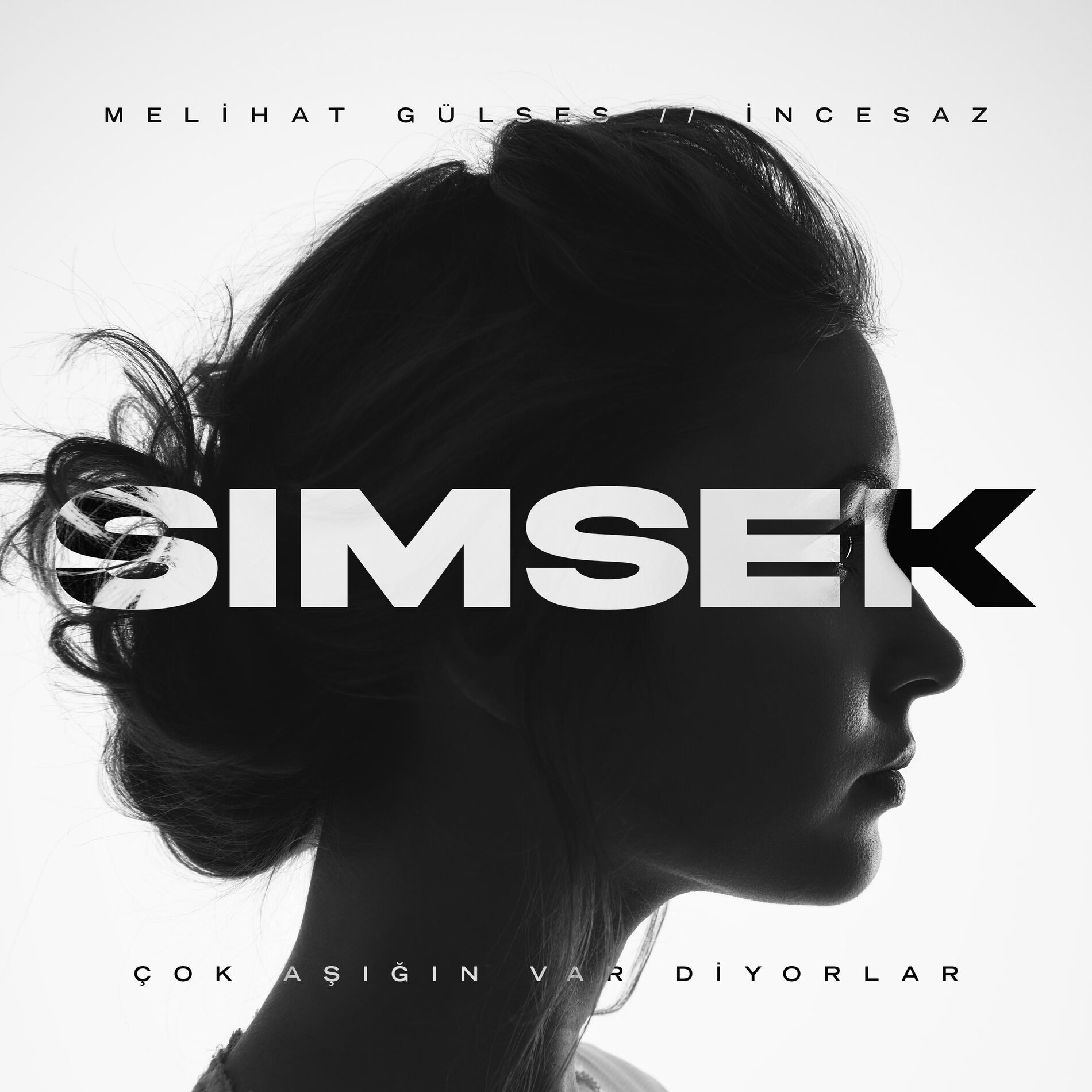 Album cover of Çok Aşığın Var Diyorlar (feat Melihat Gülses & İncesaz)