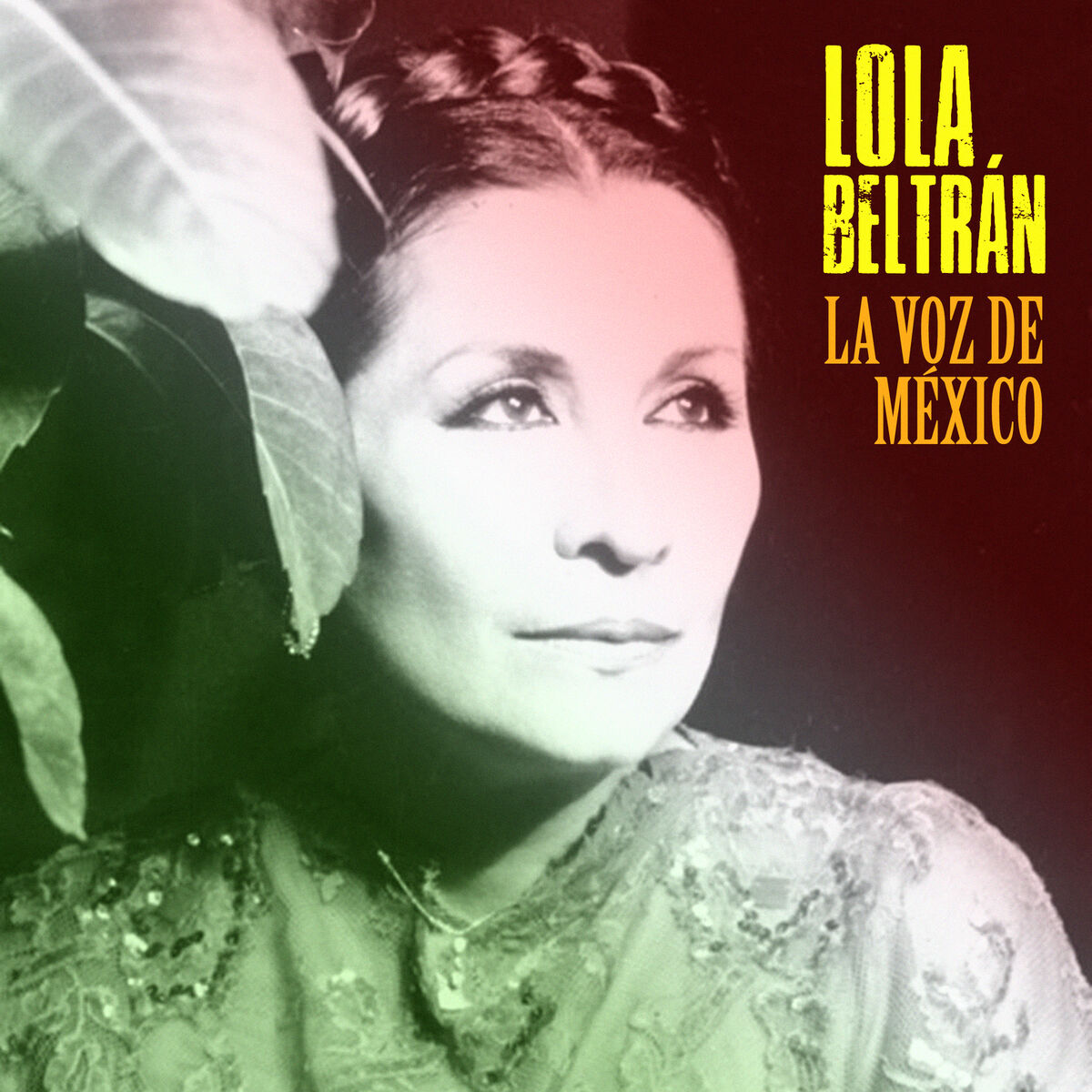 Album cover of Paloma Negra