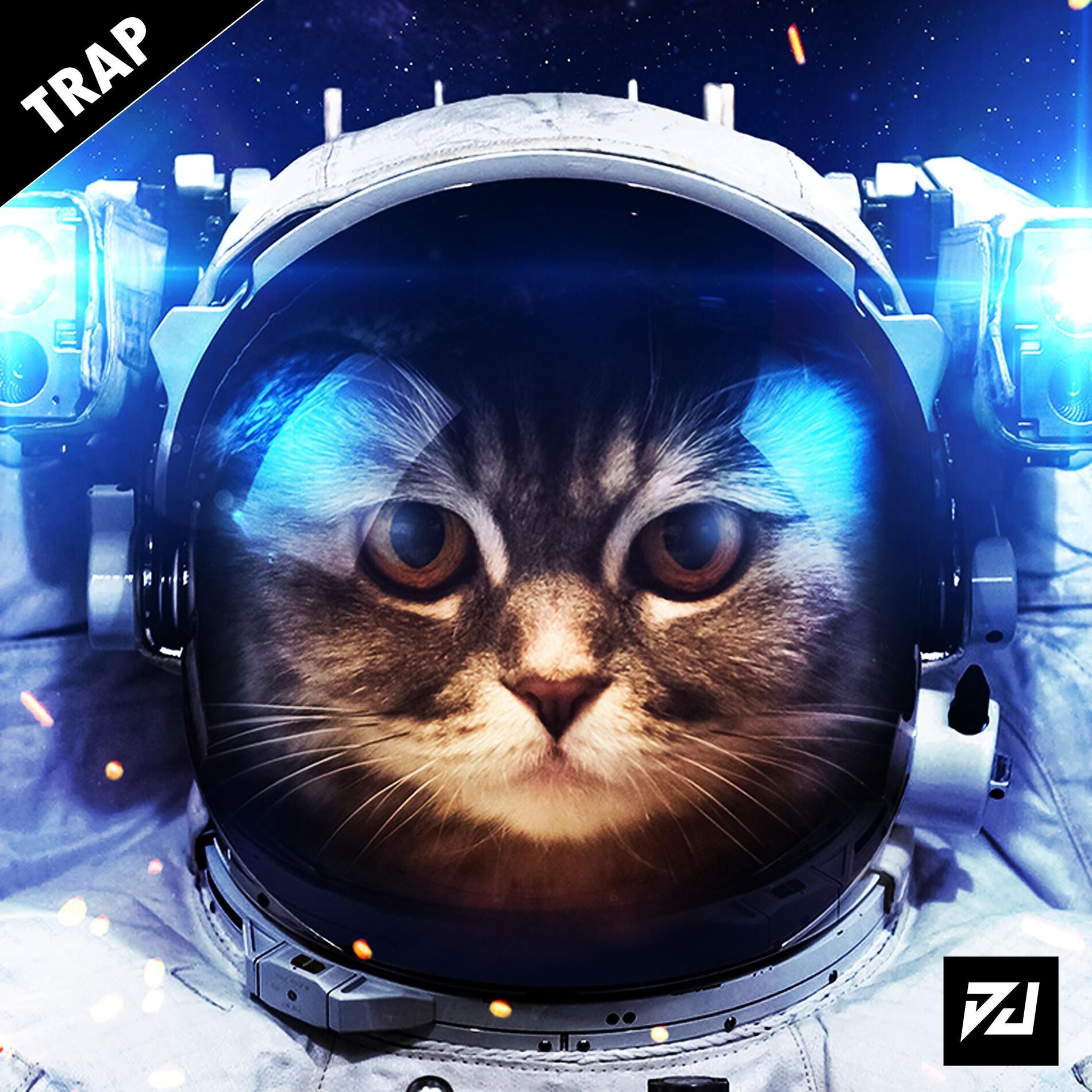 Album cover of Levan Polkka (Cat Vibing Meme)