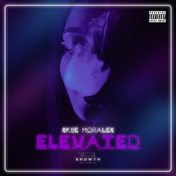 Cover of Elevated