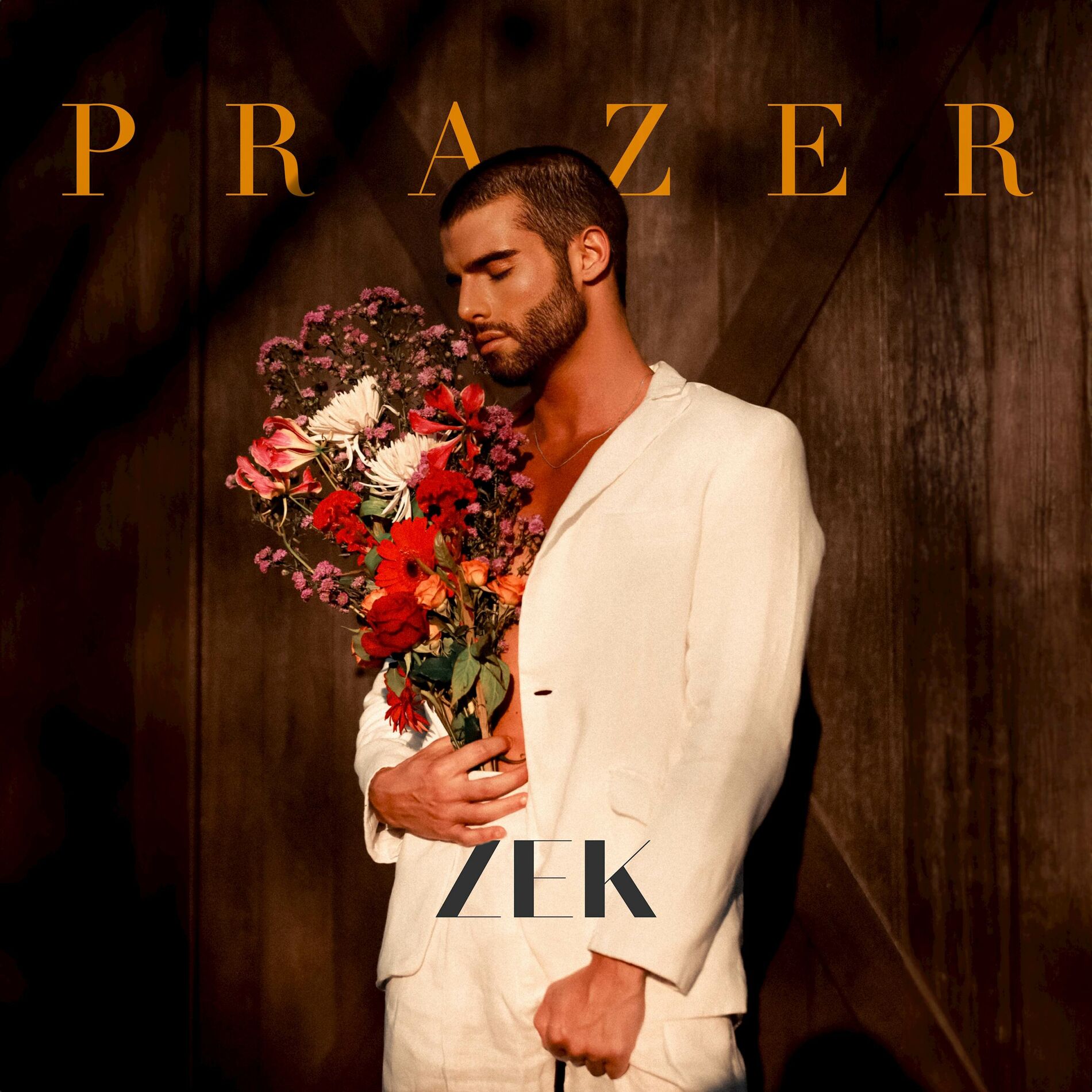 Album cover of Fonte de Prazer