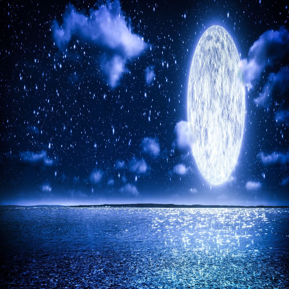 Picture of Alive