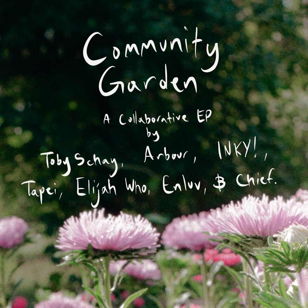 Album cover of Community Garden