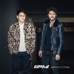 Cover of Imperfection