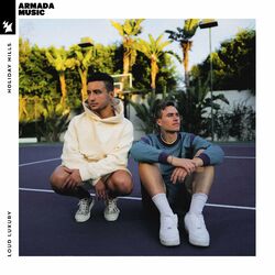 Cover of Holiday Hills