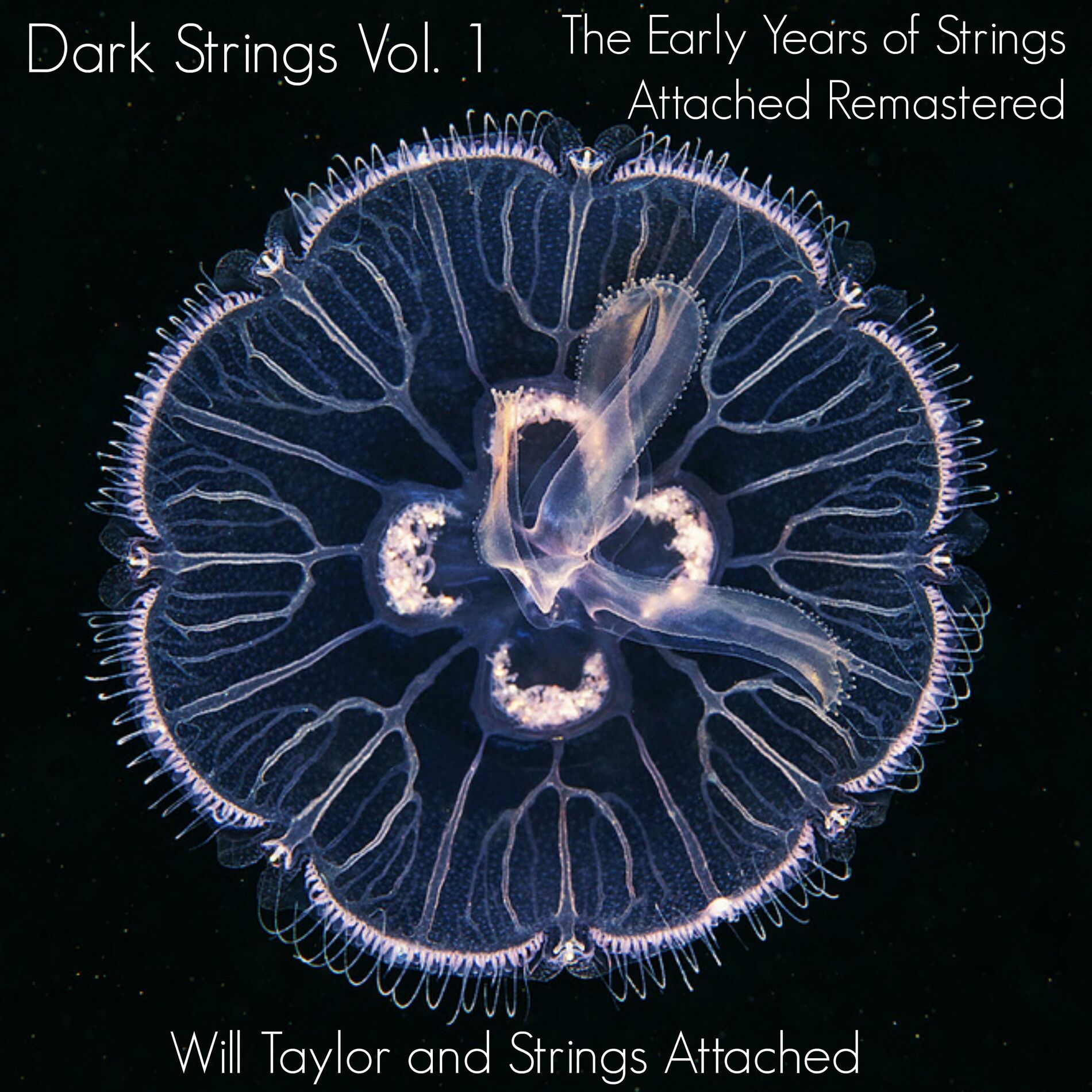Album cover of Dark Strings, Vol. 1: The Early Years of Strings Attached (Remastered)