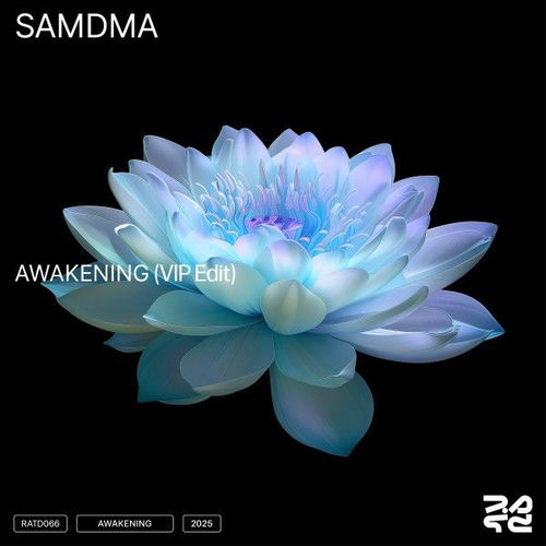 Awakening (VIP Edit)