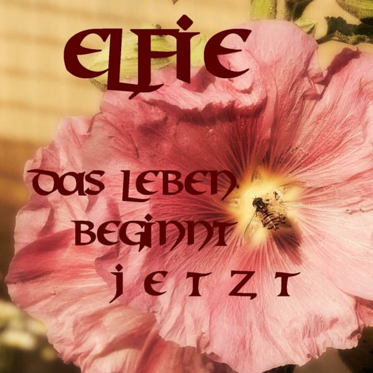 Album cover of Das Leben beginnt Jetzt