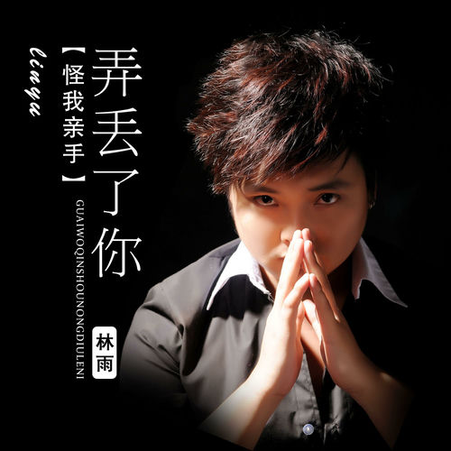 怪我亲手弄丢了你