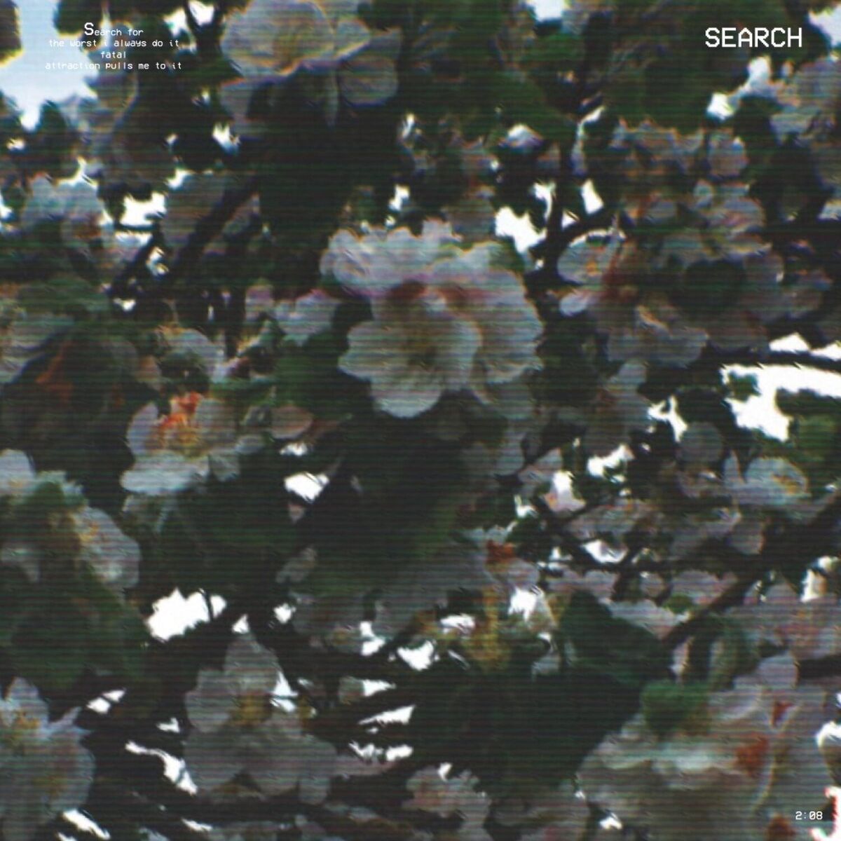 Album cover of Search