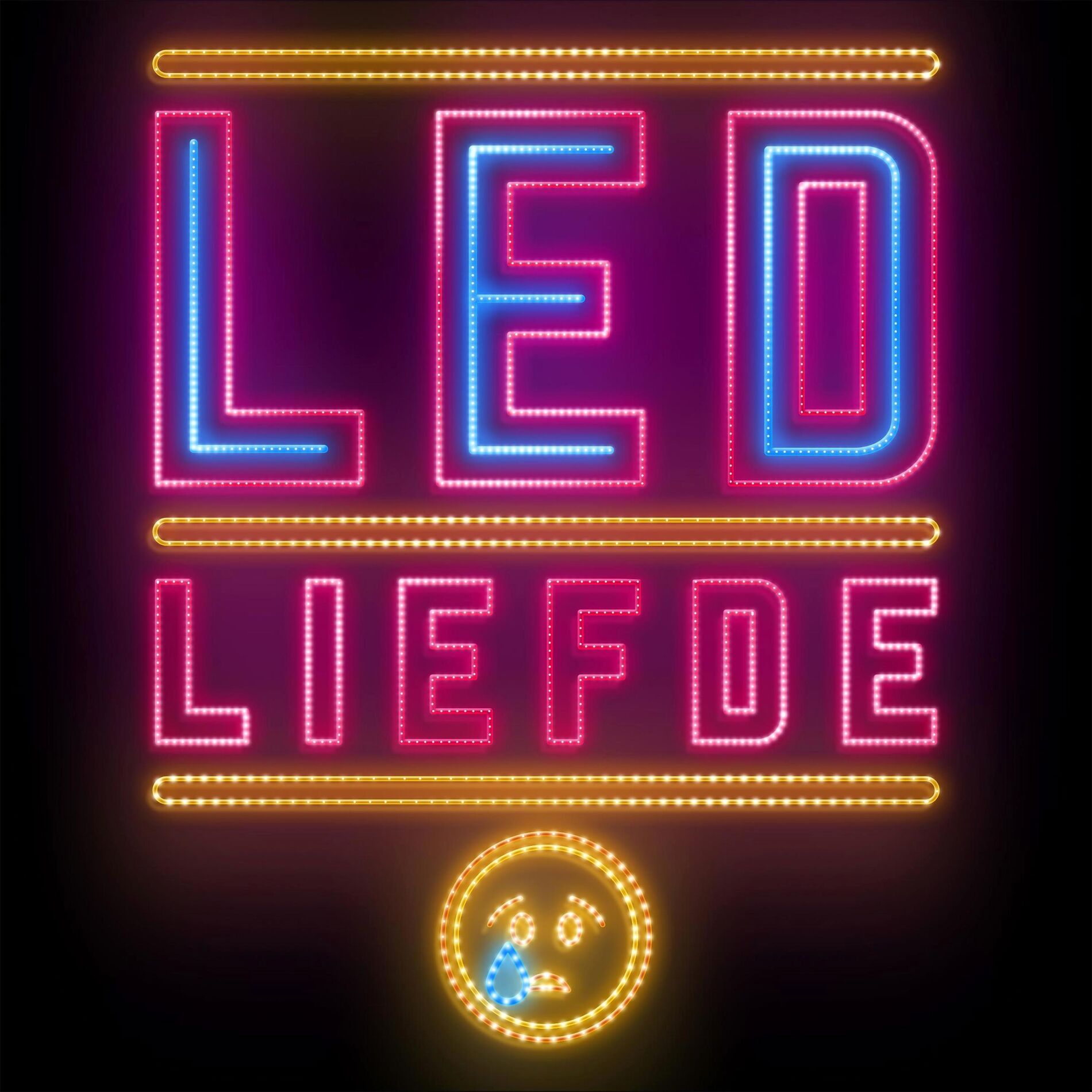 Album cover of LED Liefde