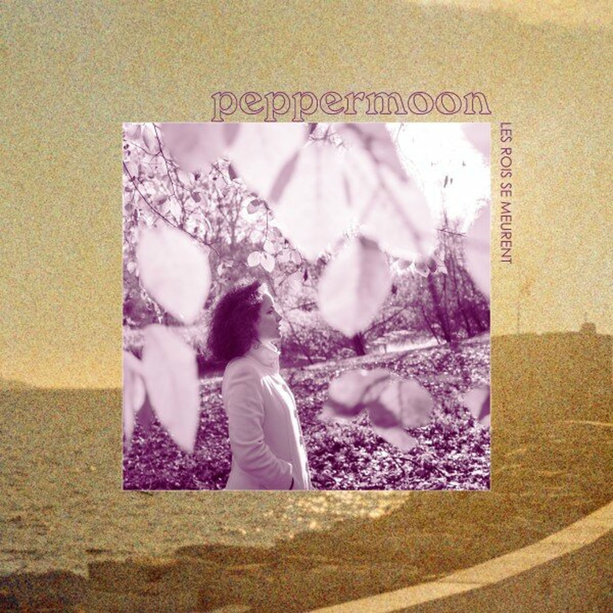 Album cover of Les rois se meurent