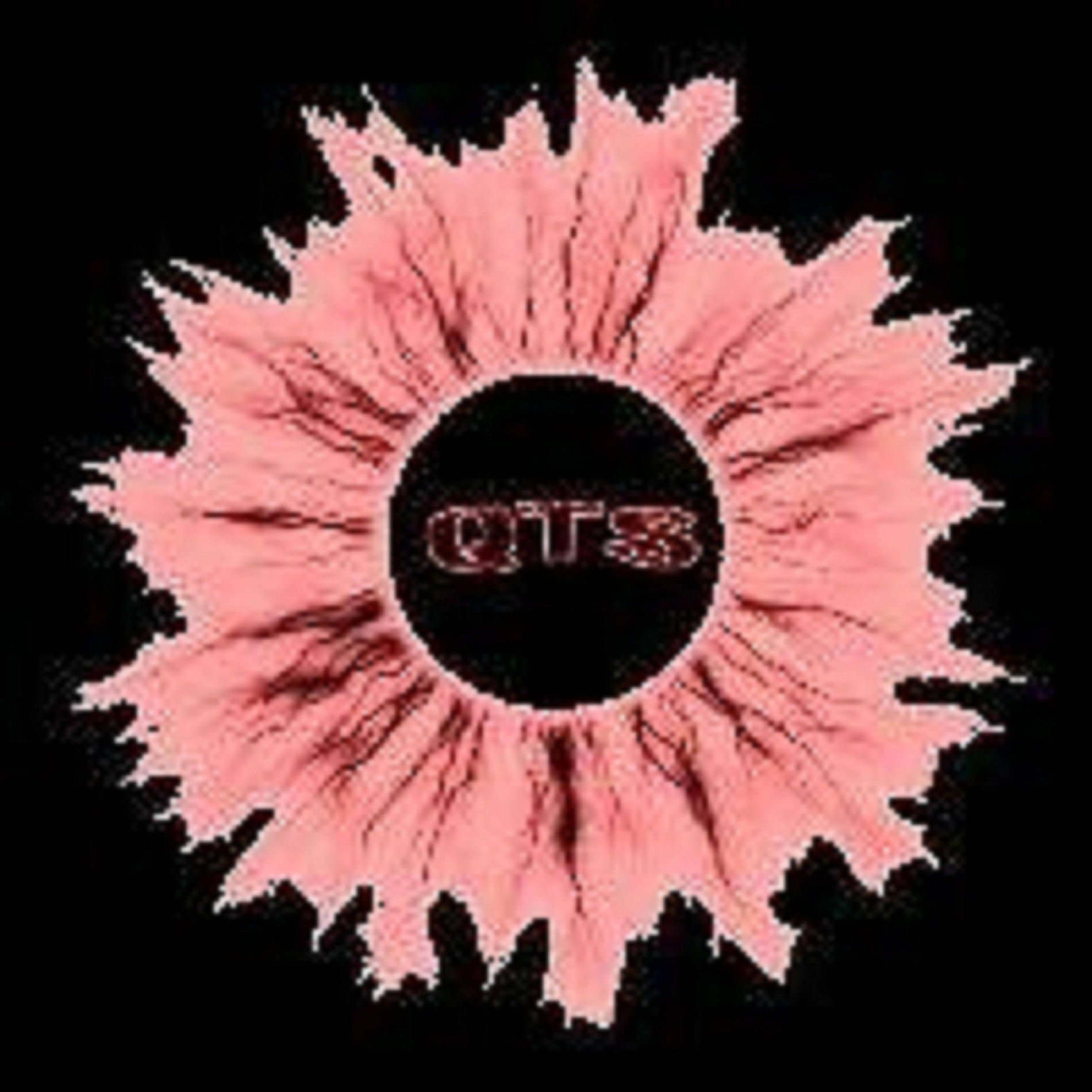 Album cover of QTS (feat. Sen-Dla, Andy Pötzsch, Abstrakt, Smaith, Crankfurt, SmoG, Bulit, BaSiC, Da Reason, Lost Faces & Aikido)