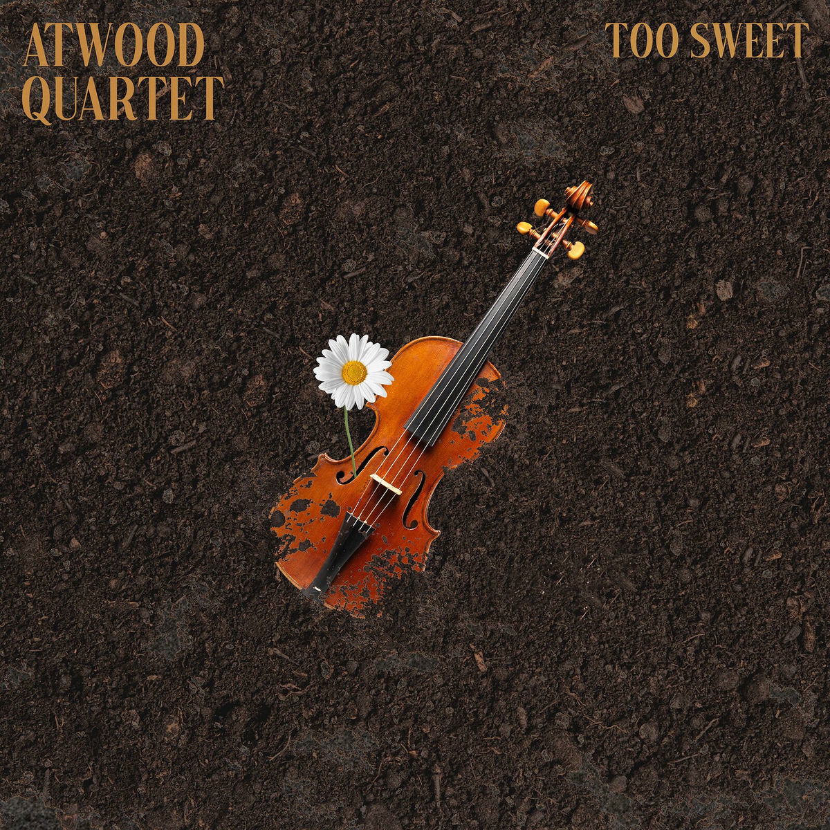 Album cover of Too Sweet