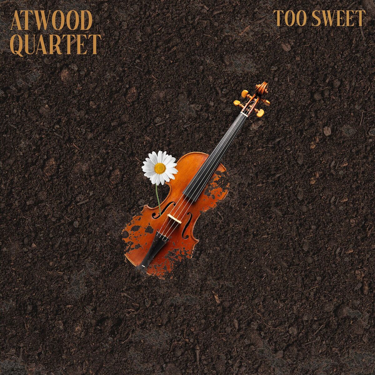 Album cover of Too Sweet