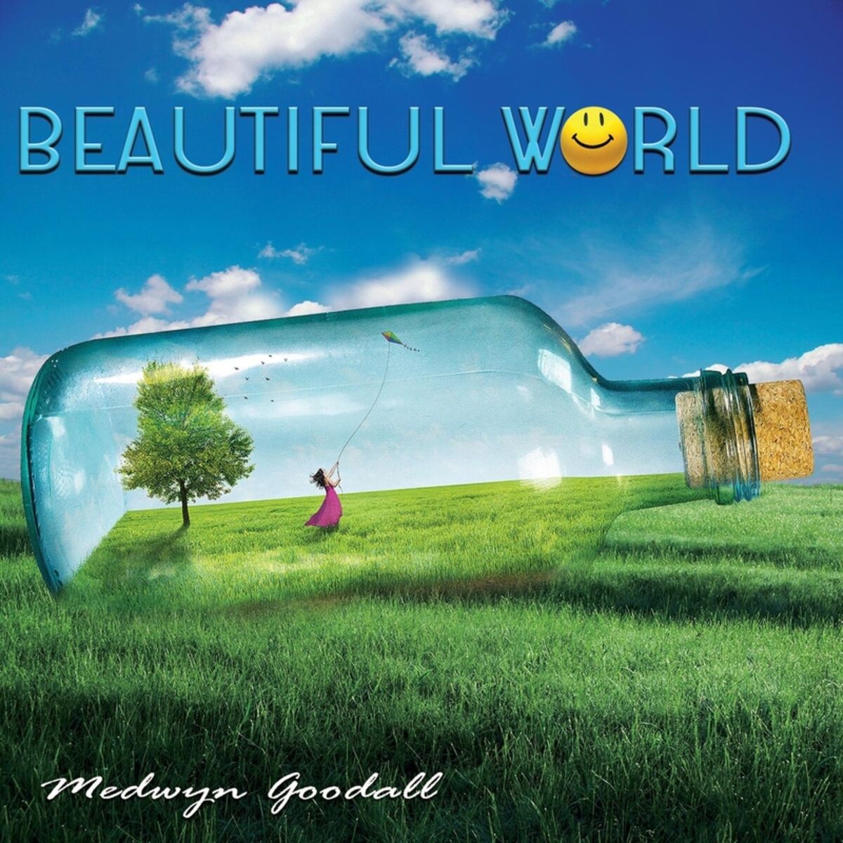 Album cover of Beautiful World