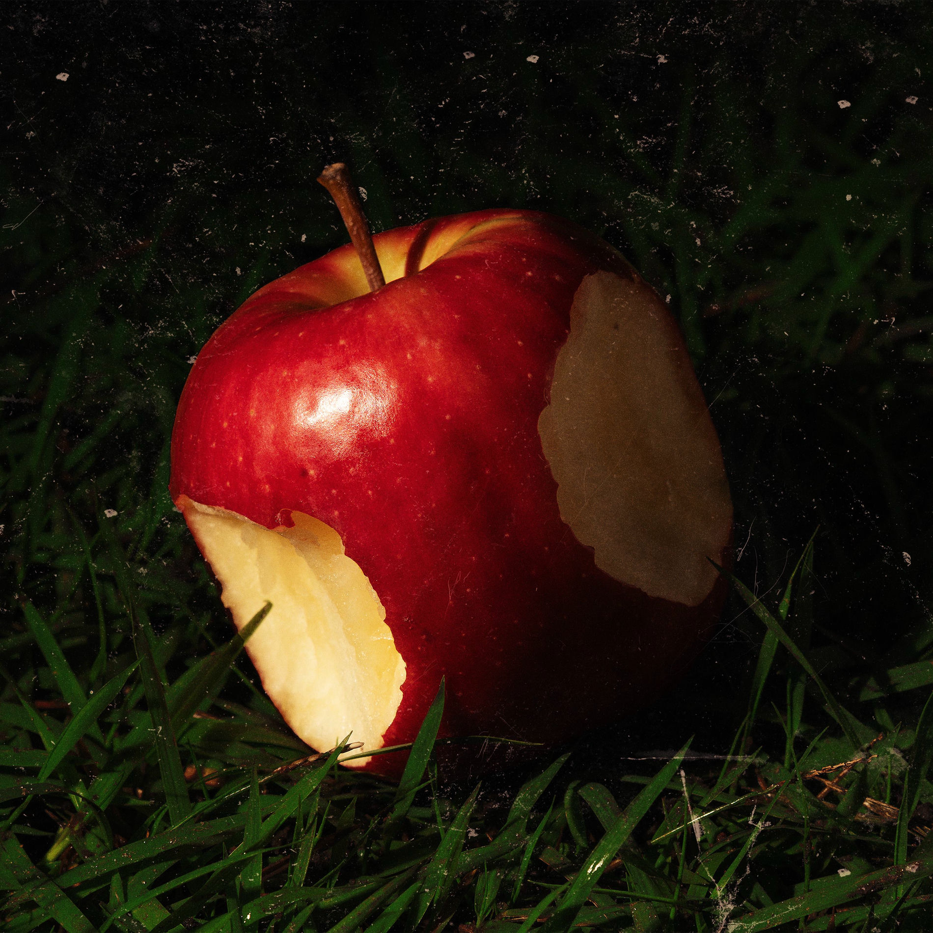 Album cover of Paraíso
